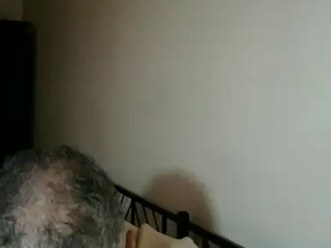 Snapshot of 100Tauros chatting on 11/15/25, 02:43 100Tauros online show from 11/15/25, 02:43