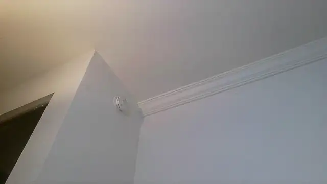 mochi rainbow online show from 04/26/26, 05:16