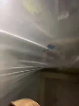 T tina92 online show from 01/14/26, 01:09