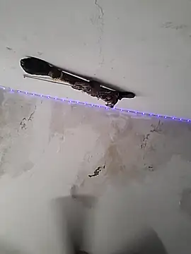 culitotragon24 online show from 12/17/25, 06:46