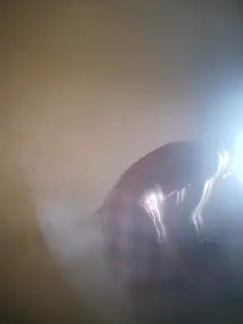 MkingPin online show from 04/01/26, 05:31