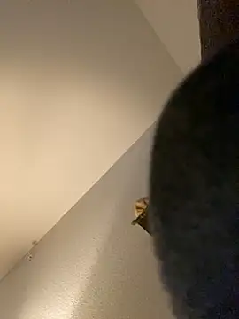 goldbuni online show from 12/30/24, 01:25