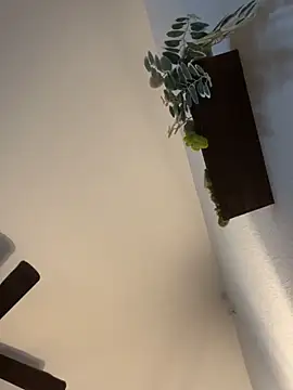 goldbuni online show from 12/04/24, 10:24