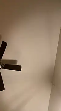 goldbuni online show from 12/07/24, 12:40