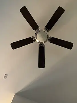 goldbuni online show from 12/19/24, 11:03