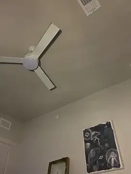 goldbuni online show from 12/19/25, 03:54