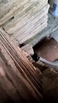 mendelicius online show from 09/09/25, 11:52