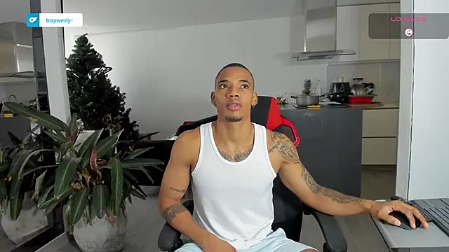 Snapshot of TROYWESLY- chatting on 01/13/26, 05:17 TROYWESLY- online show from 01/13/26, 05:17