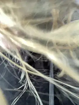 emma neko online show from 04/15/26, 04:22