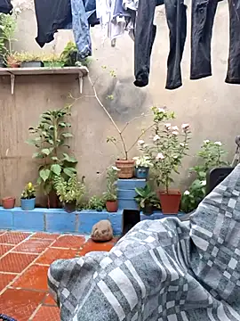 room 24funn online show from 11/29/25, 03:23