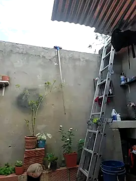 room 24funn online show from 10/19/25, 02:31