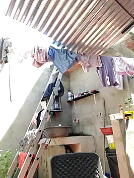 room 24funn online show from 10/15/25, 02:47