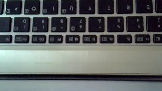 Snapshot of Delicious-D chatting on 09/20/25, 08:52 Delicious-D online show from 09/20/25, 08:52
