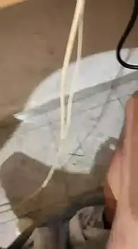 skrigul12 online show from 12/31/24, 04:35