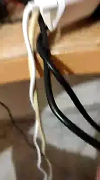 skrigul12 online show from 12/28/24, 01:38