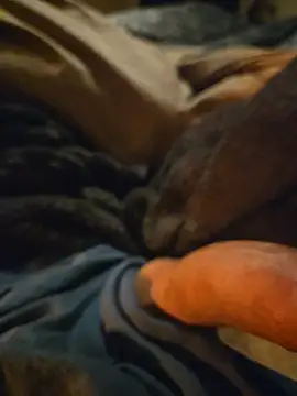 ruffuuss online show from 01/10/26, 08:09