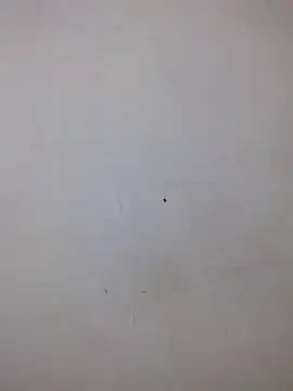 AmnionicDemeanor online show from 10/05/25, 06:53