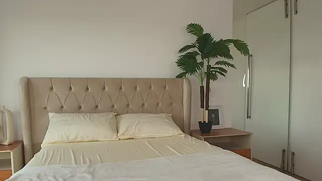 Ariella Sol online show from 02/11/26, 07:47