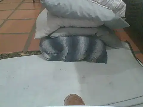 Snapshot of MrPatrick777 chatting on 02/04/26, 03:56 MrPatrick777 online show from 02/04/26, 03:56