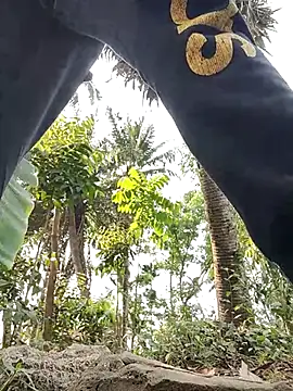 Snapshot of rayhan085 chatting on 03/19/25, 08:23 rayhan085 online show from 03/19/25, 08:23