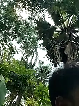 Snapshot of rayhan085 chatting on 03/21/25, 07:22 rayhan085 online show from 03/21/25, 07:22