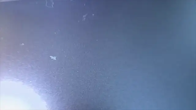 MyPhoenix online show from 04/15/26, 06:52