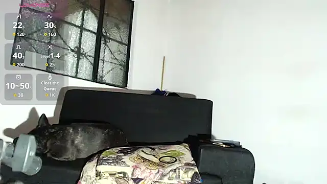 willian m777 online show from 02/06/26, 04:52