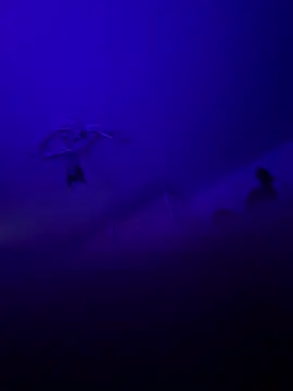 1ninefellababy online show from 01/10/26, 10:43