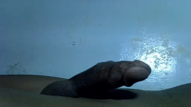 Themirayas online show from 02/01/26, 04:16