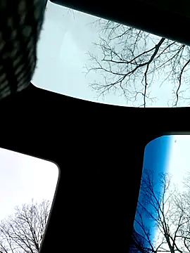 Alfrendino44 online show from 02/19/26, 08:50