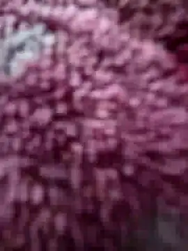 katymojadit online show from 02/16/26, 12:59