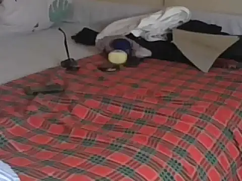 Snapshot of Bootiq chatting on 12/19/25, 08:22 Bootiq online show from 12/19/25, 08:22