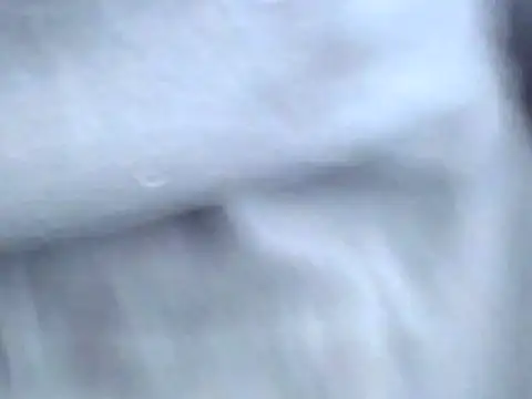 Snapshot of Bootiq chatting on 10/22/25, 09:53 Bootiq online show from 10/22/25, 09:53