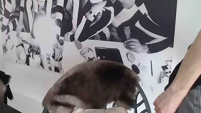 godinflower online show from 02/21/26, 02:19