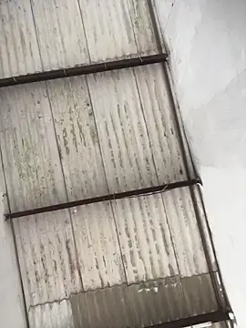 king cum  online show from 02/19/26, 04:48