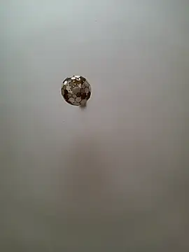 JulianJ50 online show from 11/12/25, 02:32