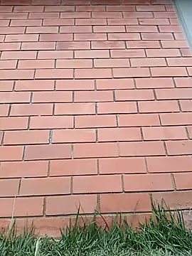 SamaraJay1 online show from 03/30/26, 05:03