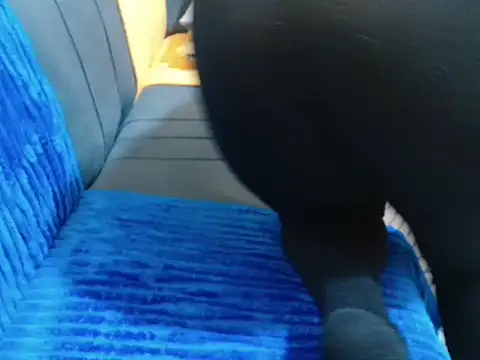 leslysexygirl online show from 02/16/26, 05:28