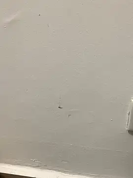 zeck80 online show from 12/19/25, 12:03