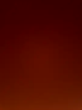 Wild wifey online show from 12/02/25, 05:14