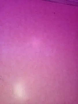 ---sophia--- online show from 11/21/25, 11:04