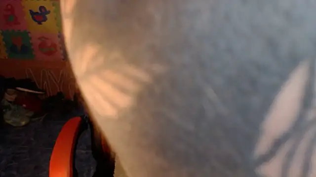 dannafitness online show from 03/06/26, 08:04