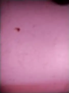 bisexualboy05 online show from 09/20/25, 07:46