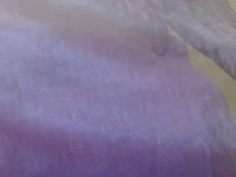 LOVERIAKOL online show from 03/03/26, 10:22