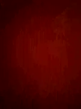 phnz online show from 02/11/26, 01:00