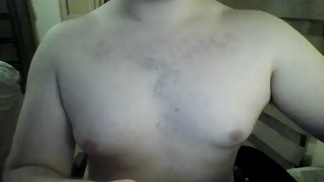 Himbo fox online show from 11/15/25, 07:01