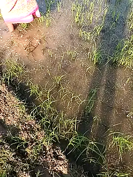 hairipussy2 online show from 02/07/25, 10:29