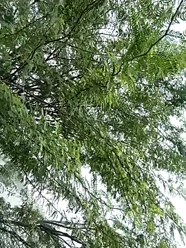 gaysexfun 123 online show from 12/20/25, 07:00