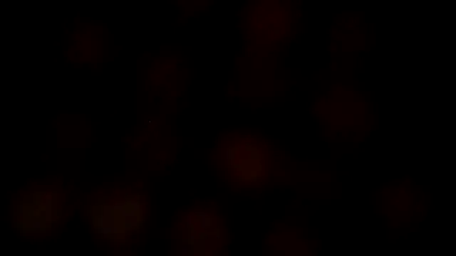 Snapshot of leatherz69 chatting on 02/27/25, 07:19 leatherz69 online show from 02/27/25, 07:19