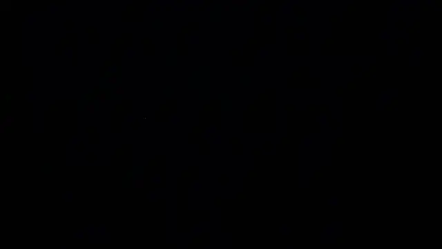 leatherz69 online show from 04/12/26, 03:54